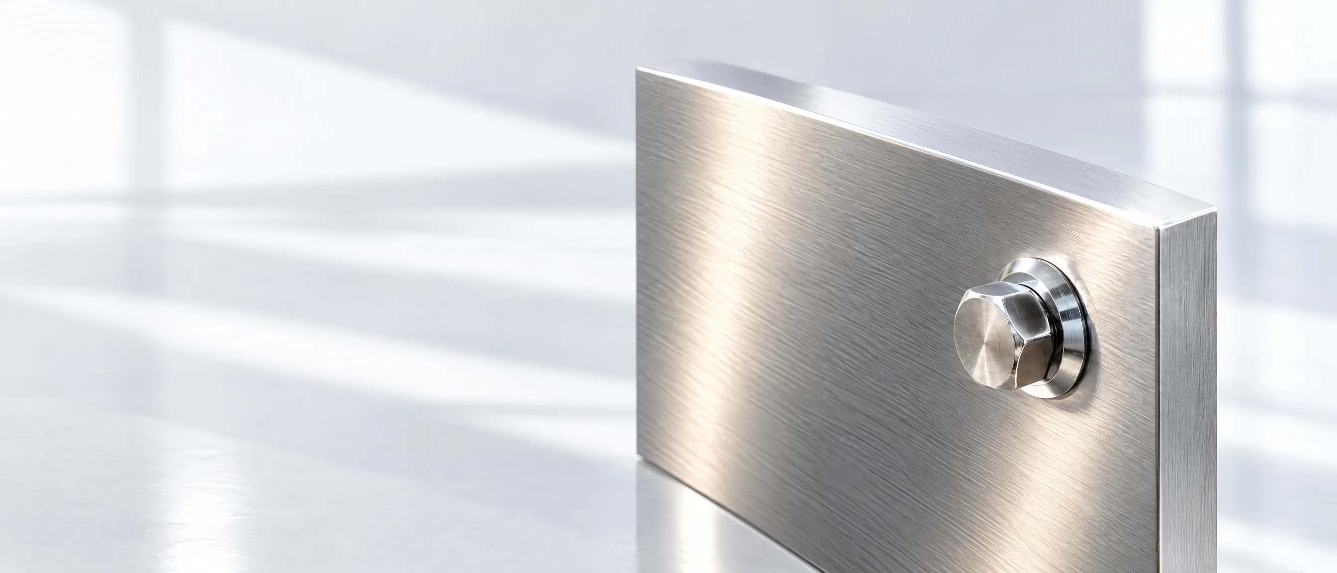 Brushed stainless steel plate with a polished bolt in soft studio window light